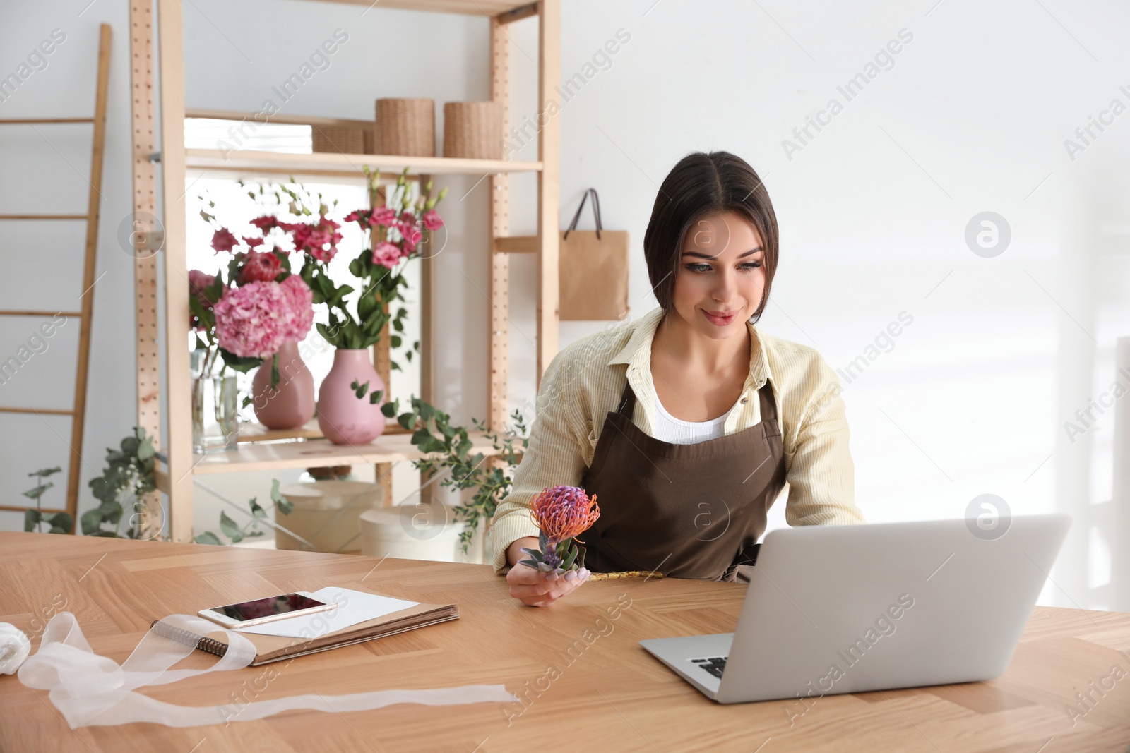 Photo of Florist with leucospermum flower working on laptop in floral store
