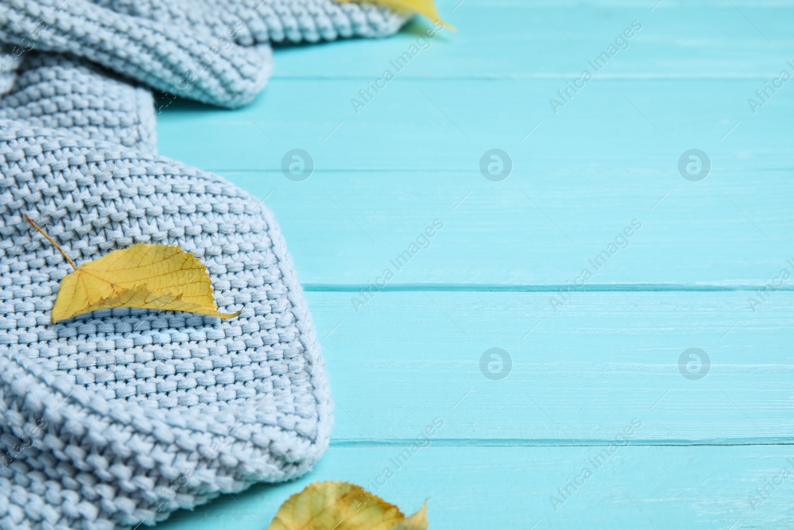 Photo of Knitted plaid and dry leaves on light blue wooden table, closeup. Space for text