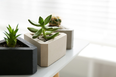 Beautiful succulent plants on white table, closeup