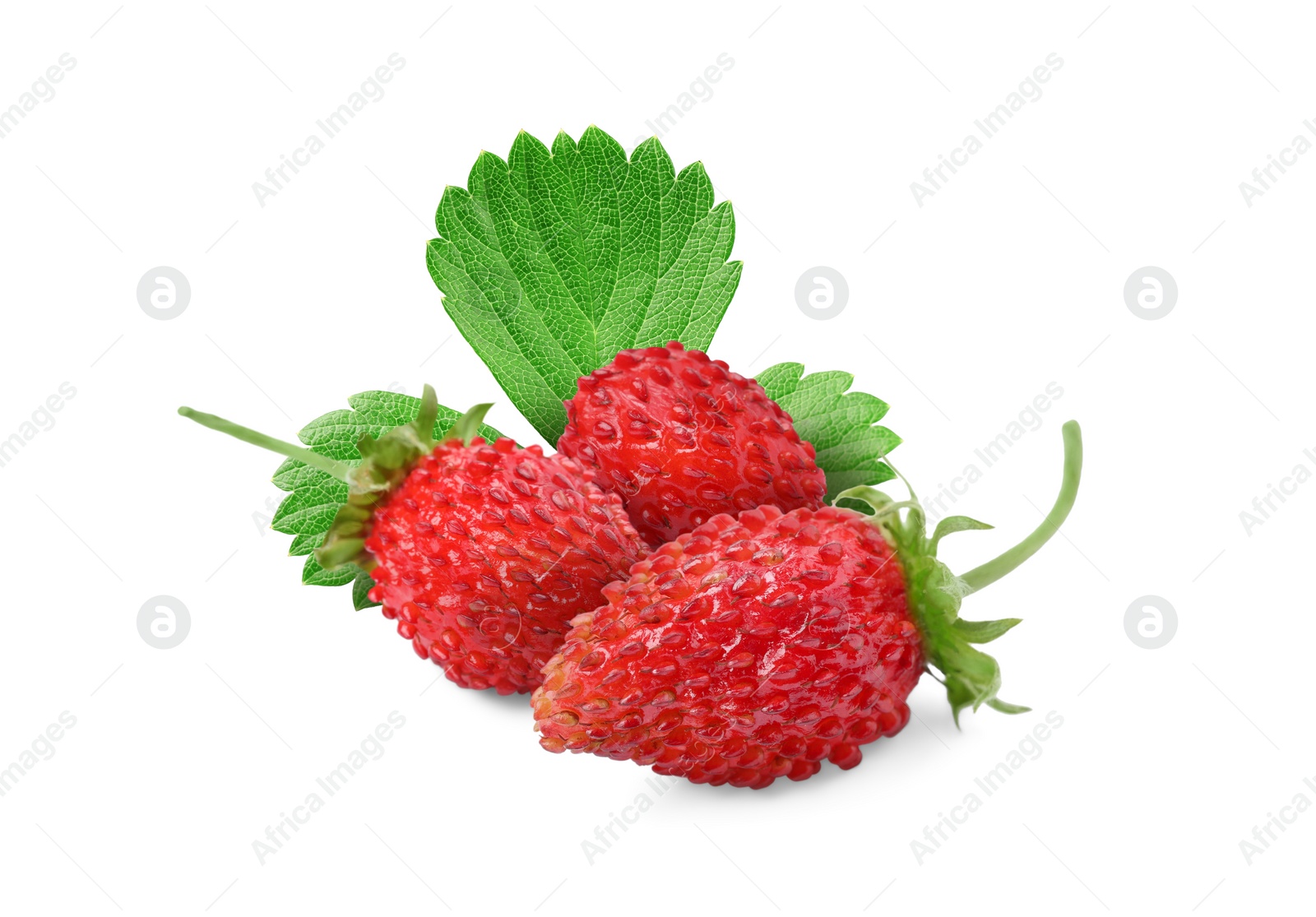 Image of Fresh ripe wild strawberries with green leaves isolated on white