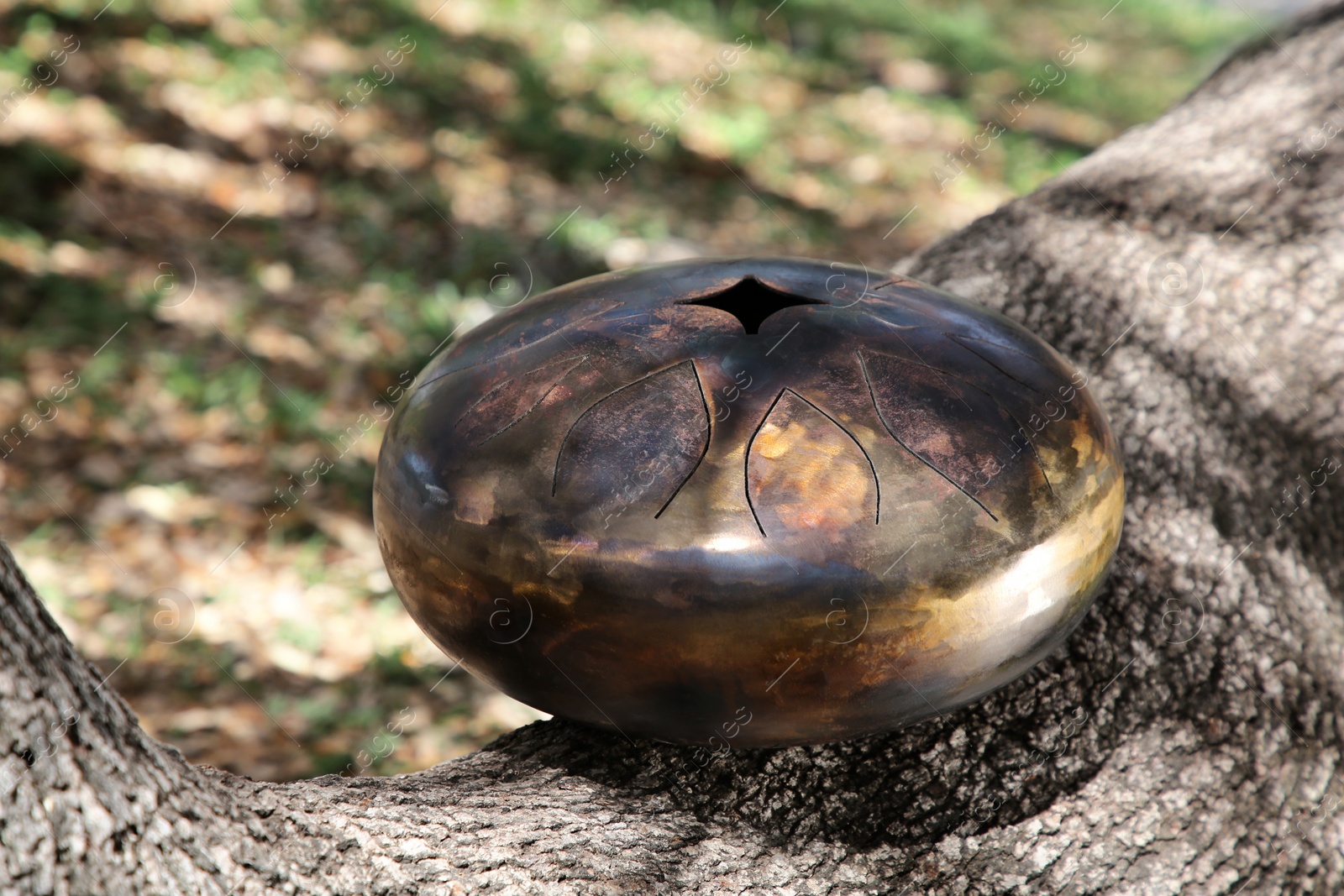 Photo of Steel tongue drum on tree bark outdoors. Percussion musical instrument