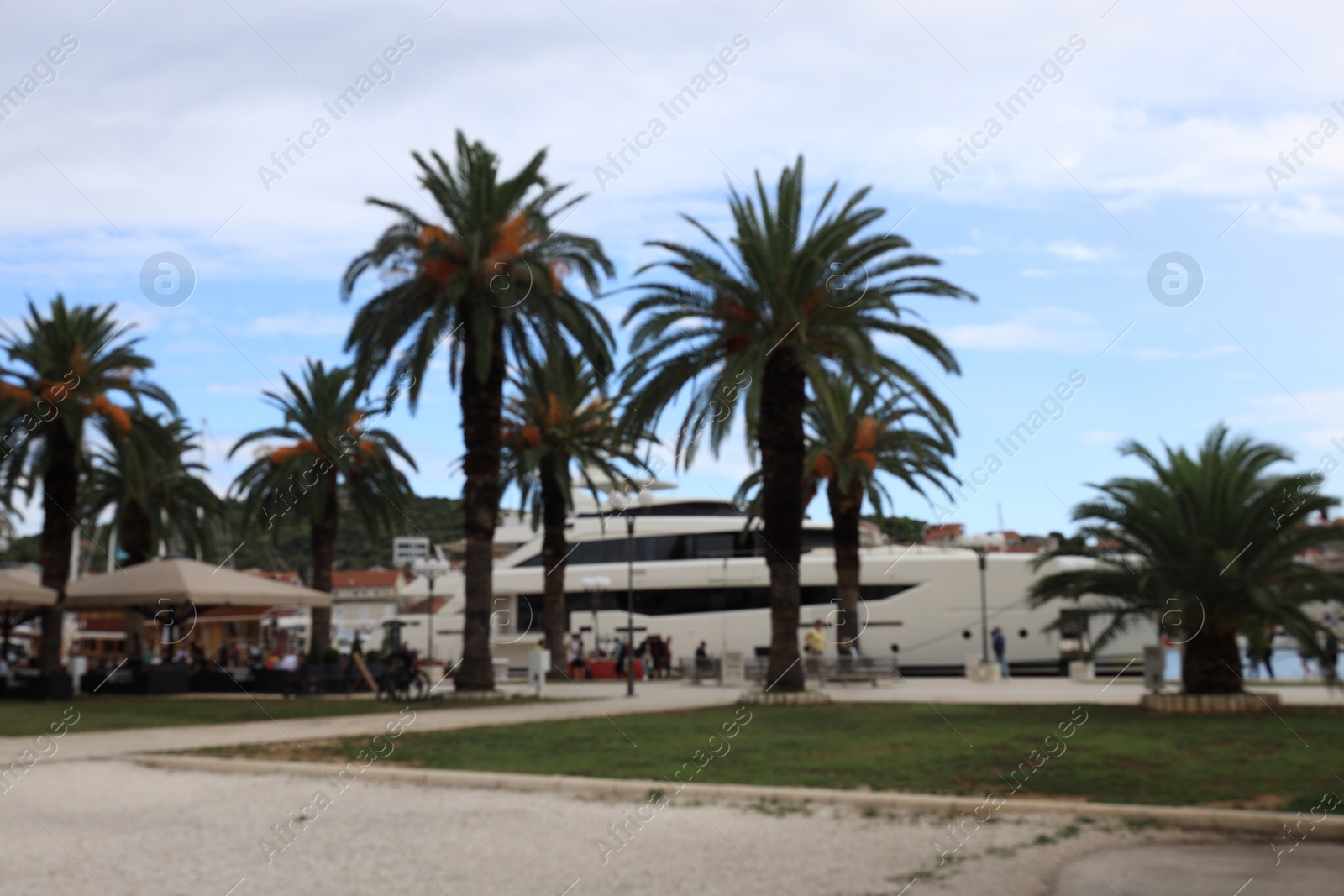 Photo of Blurred view of palm trees and moored ferry boat on cloudy day