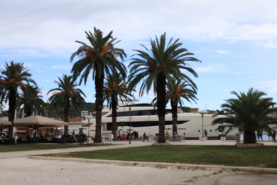 Blurred view of palm trees and moored ferry boat on cloudy day