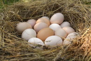 Photo of Fresh raw chicken eggs in nest, closeup