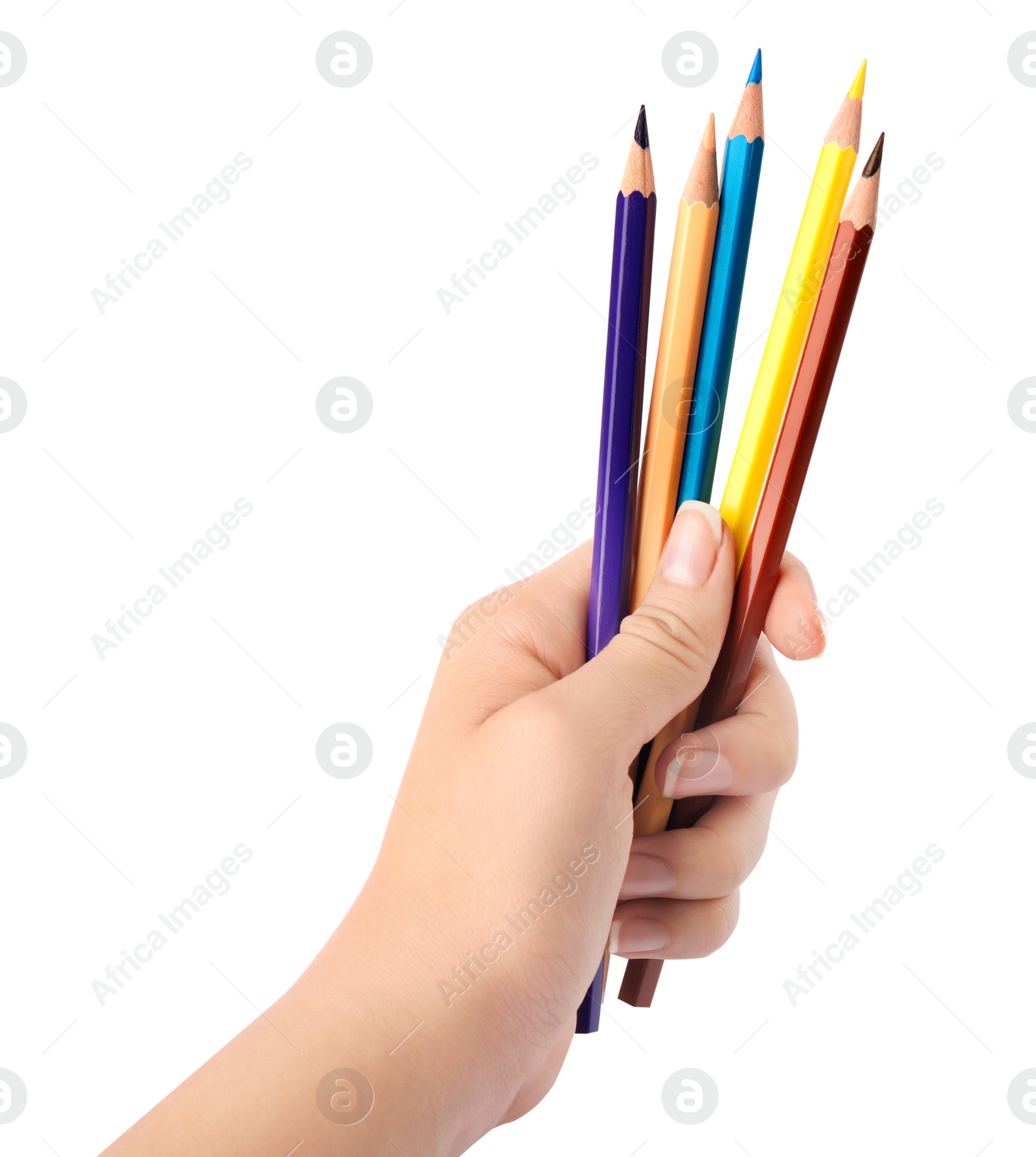 Photo of Woman holding bunch of color pencils on white background, closeup