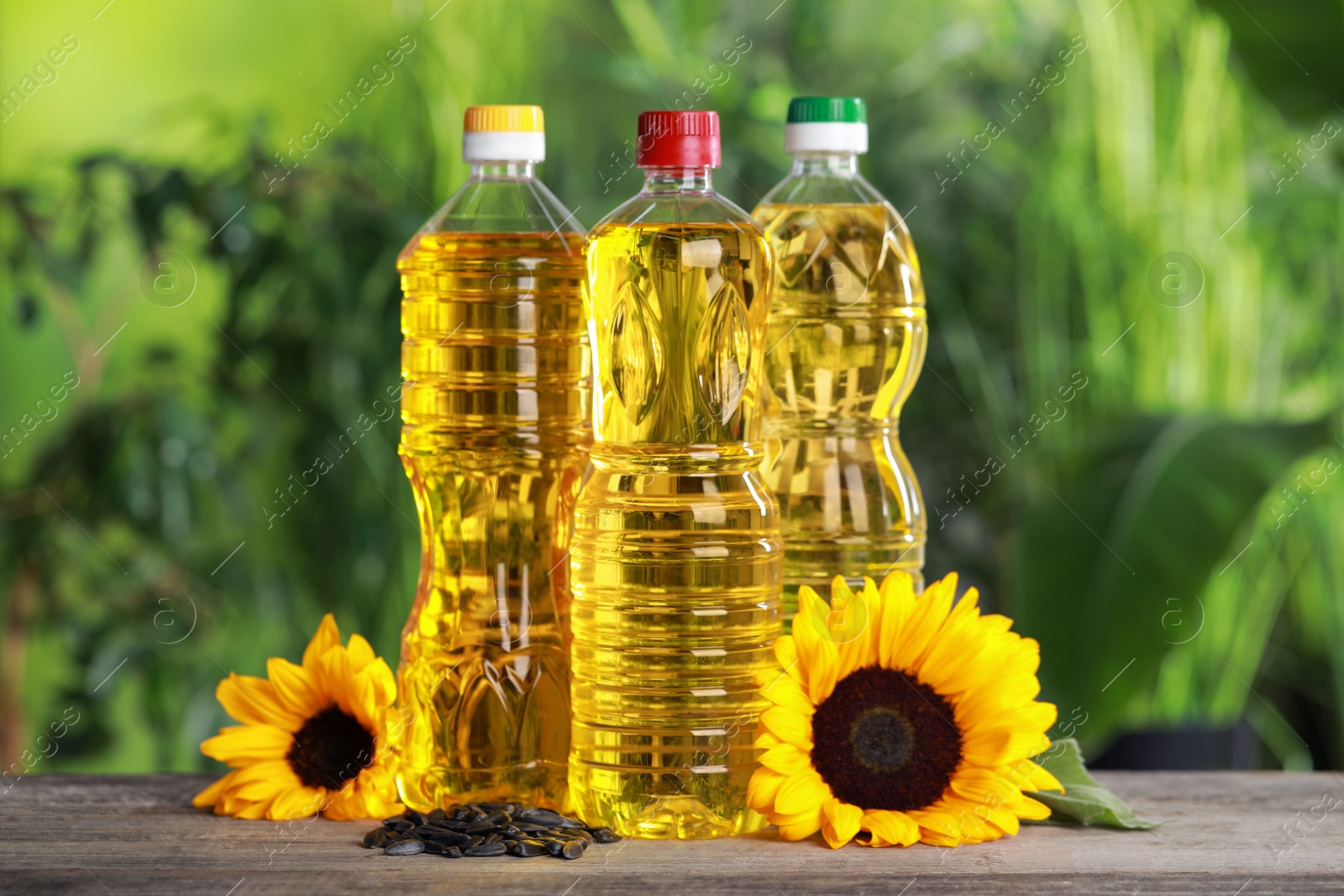 Photo of Bottles of cooking oil, sunflowers and seeds on wooden table against blurred background