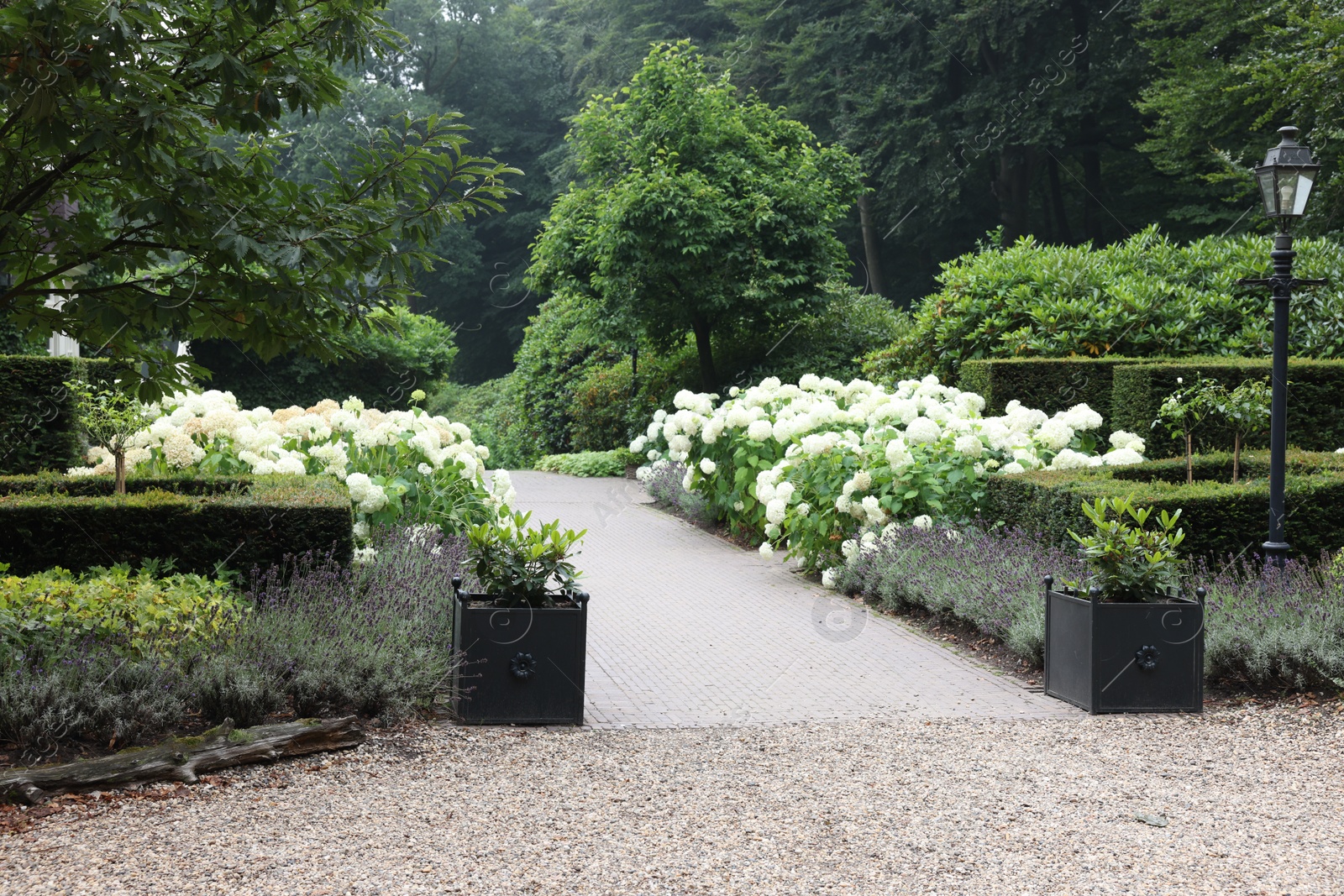 Photo of Lovely garden with blooming plants and paved pathway. Landscape design