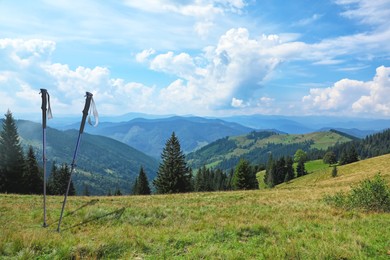 Image of Trekking poles on green grass in mountains