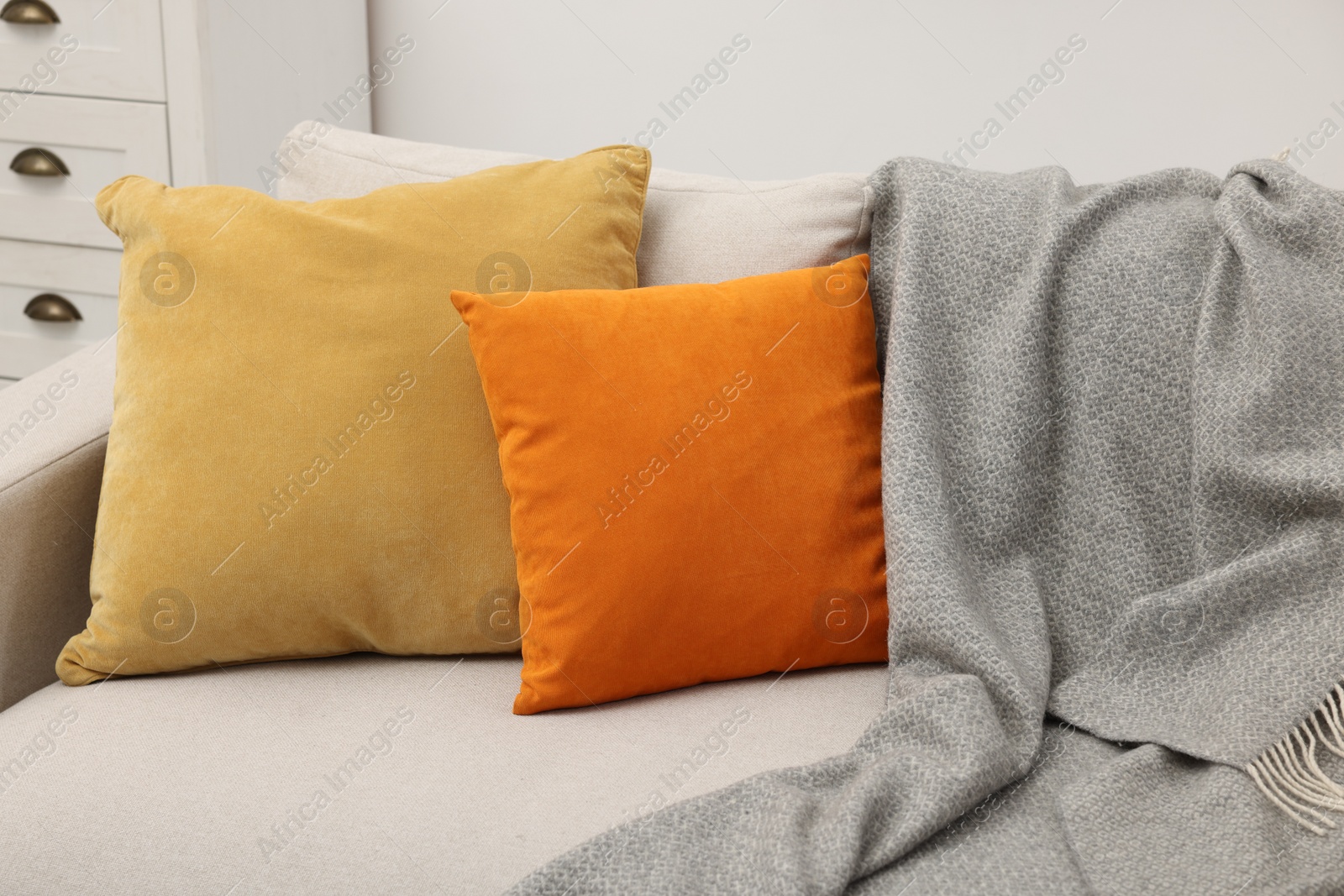 Photo of Soft pillows and blanket on sofa indoors