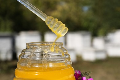 Photo of Taking delicious fresh honey with dipper from glass jar in apiary, closeup
