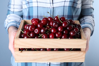 Photo of Woman holding crate with ripe cherries, closeup