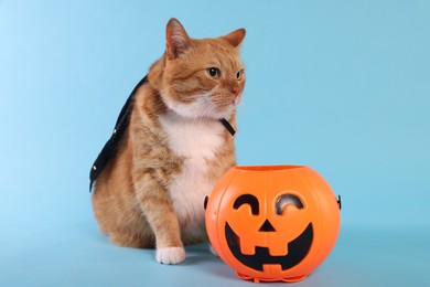 Cute ginger cat in cloak with Halloween bucket on light blue background
