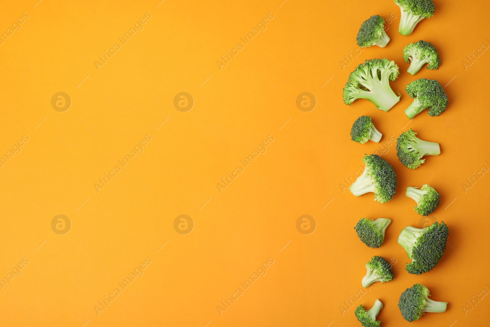 Photo of Flat lay composition with fresh green broccoli on color background. Space for text