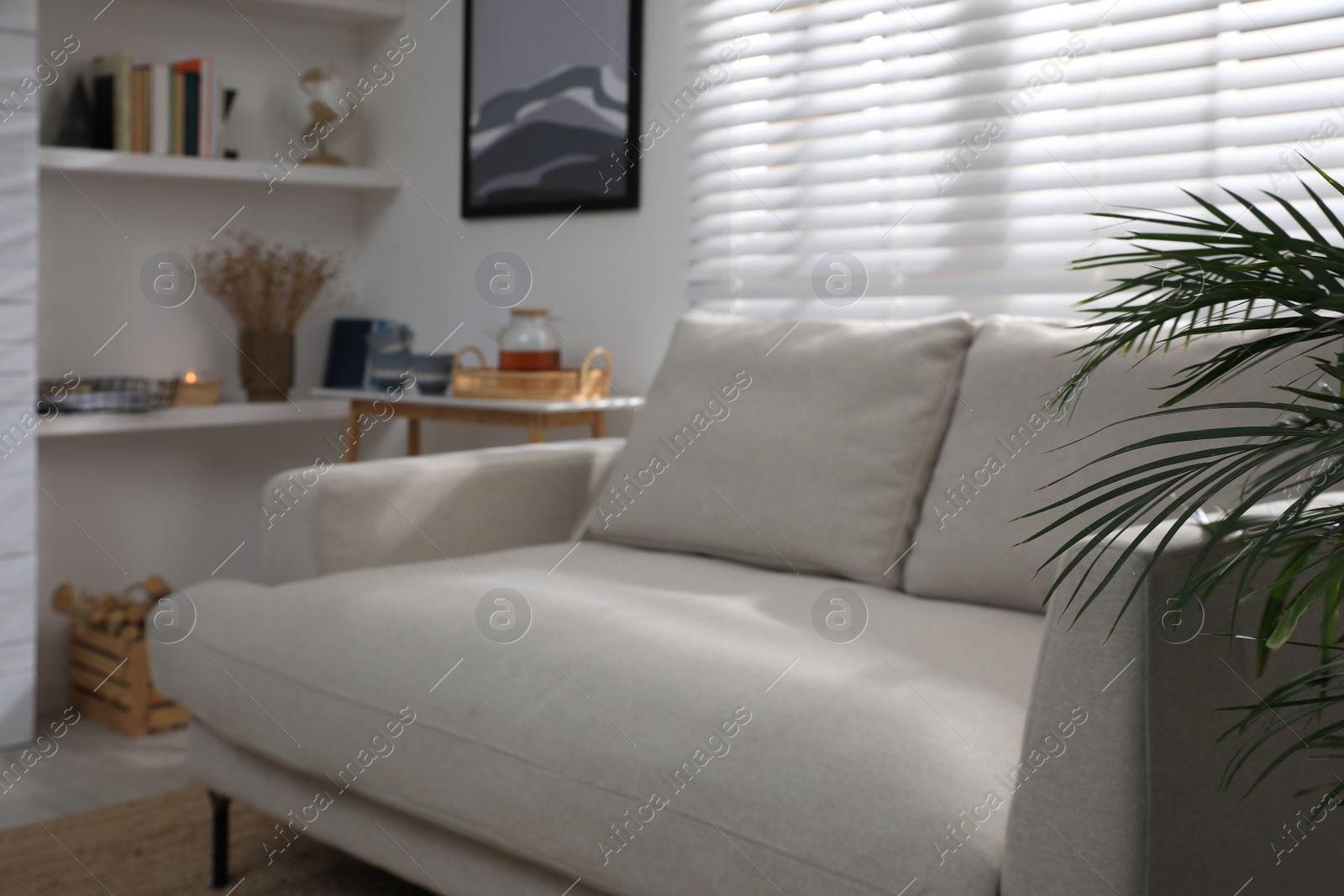 Photo of Comfortable light grey sofa and green plant near window in living room. Interior design