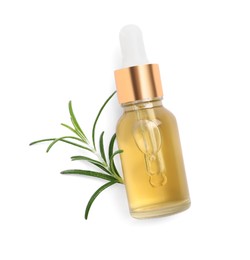 Sprig of fresh rosemary and essential oil on white background, top view