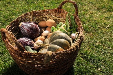 Photo of Different fresh ripe vegetables in wicker basket on green grass