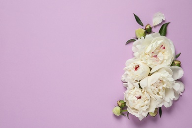 Photo of Beautiful peonies on color background, flat lay with space for text