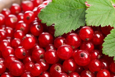 Photo of Tasty ripe red currant berries and green leaves in bowl, closeup