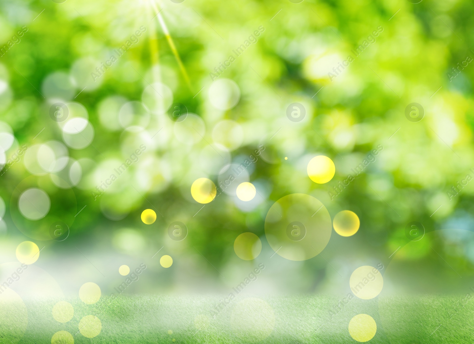 Image of Vibrant green grass outdoors on sunny day