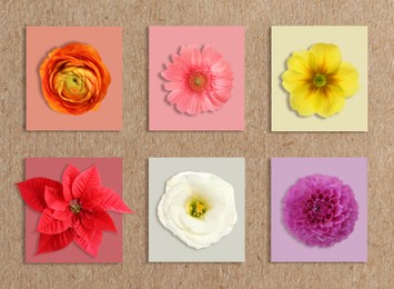 Image of Multicolor flowers and cards of similar shades on kraft paper, collage. Montessori method