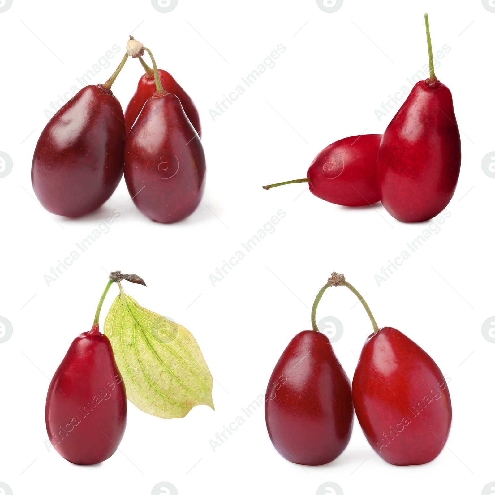 Image of Set of ripe red dogwood berries on white background