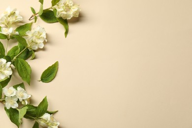 Aromatic jasmine flowers and green leaves on beige background, flat lay. Space for text