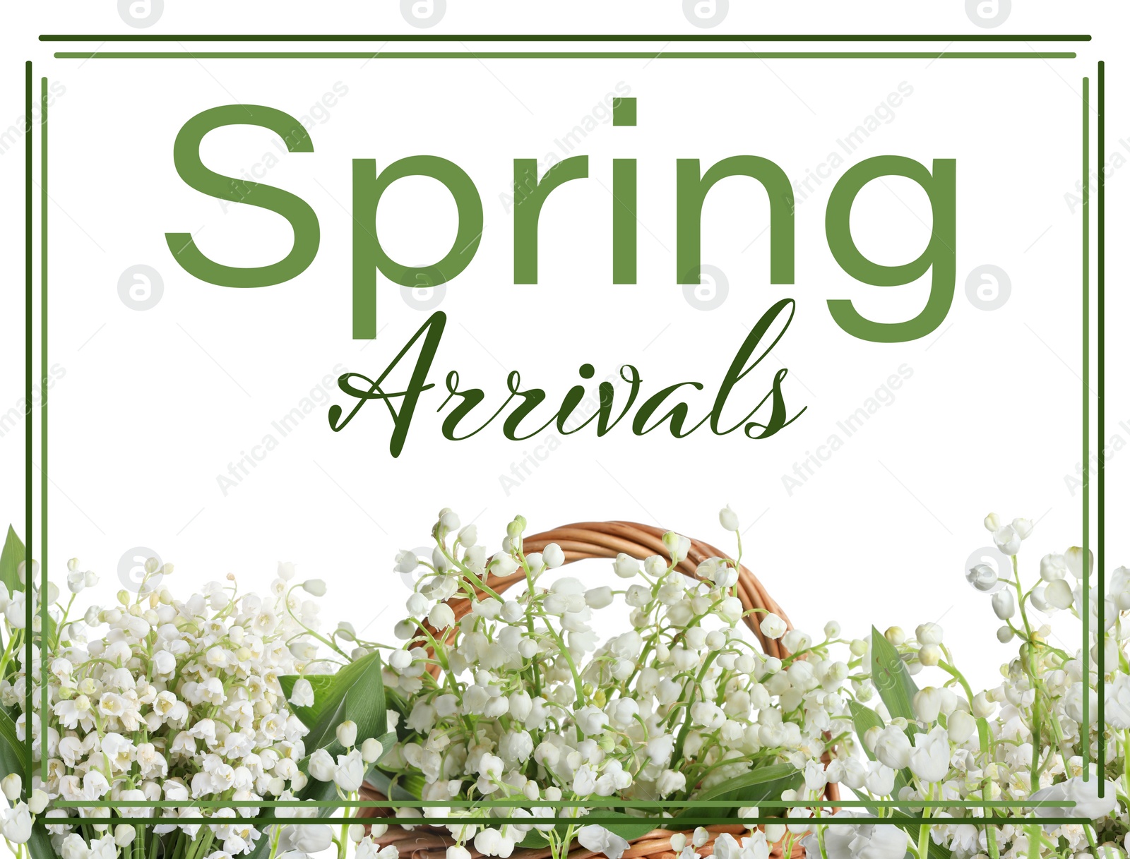 Image of Spring arrivals flyer design with beautiful flowers and text on white background