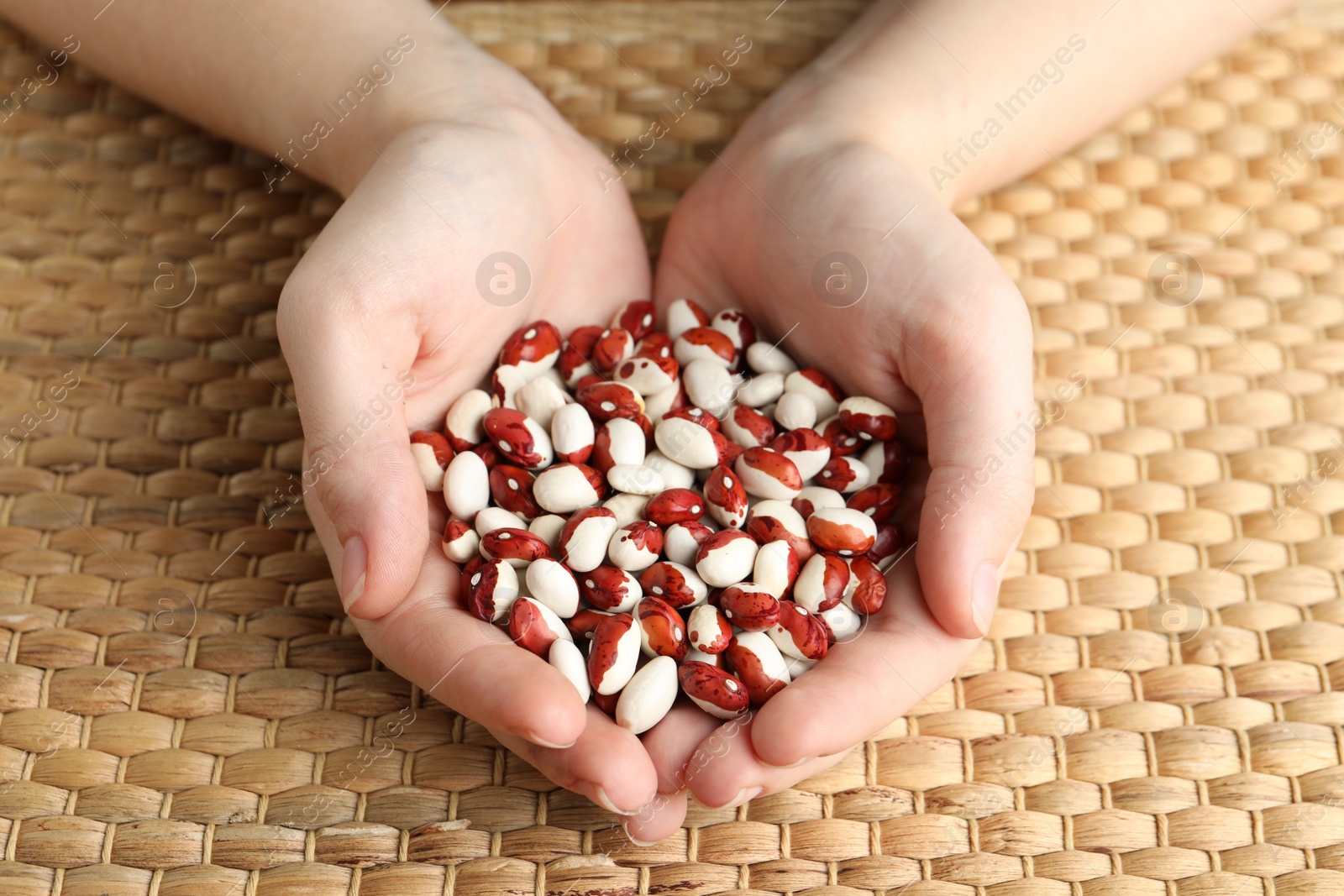 Photo of Woman holding pile of beans over wicker table, closeup. Vegetable seeds planting