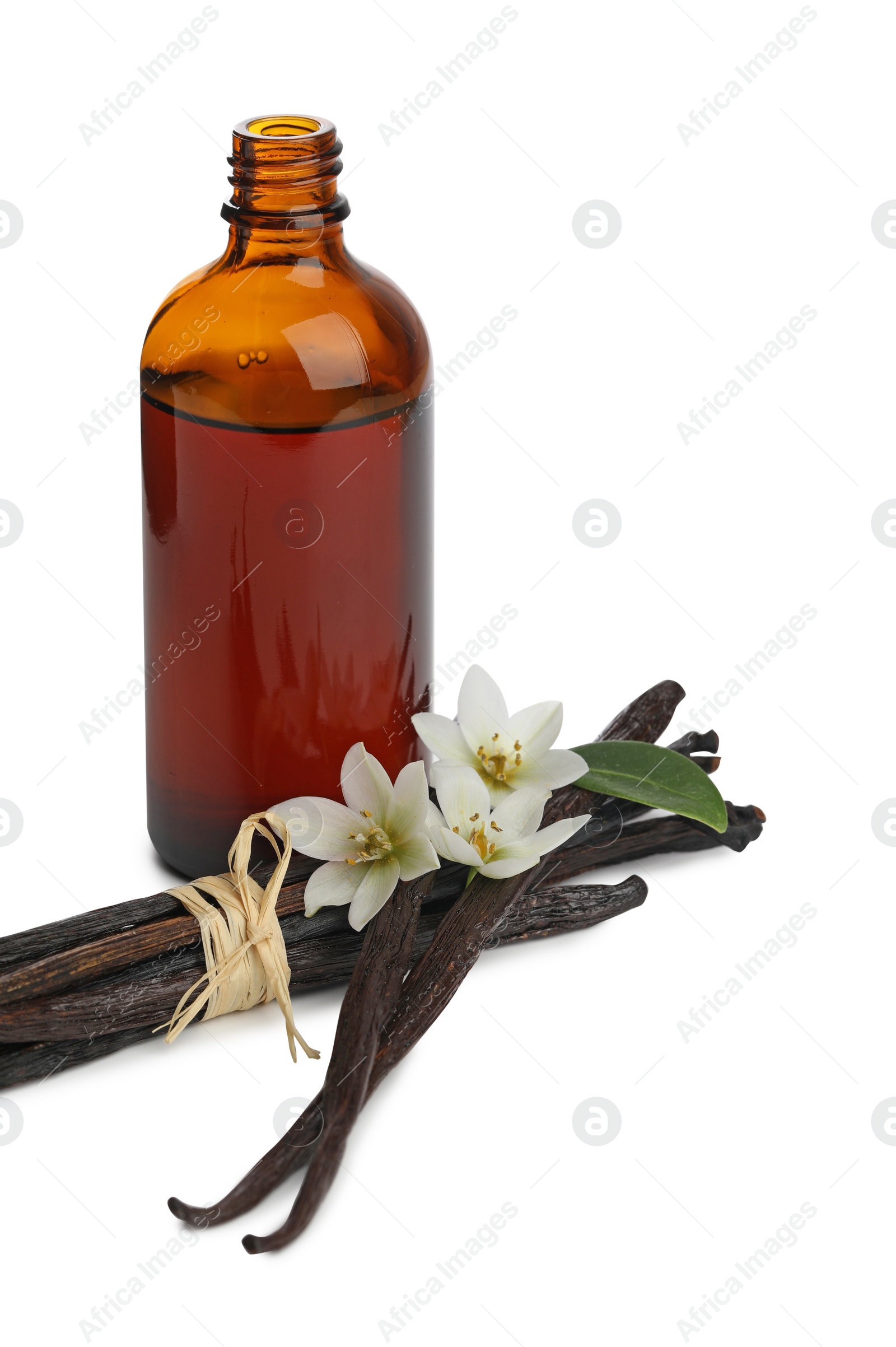 Photo of Bottle of essential oil, vanilla pods, green leaf and flowers isolated on white