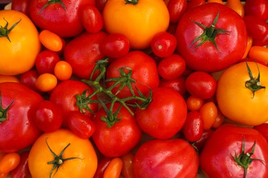 Tasty fresh tomatoes as background, top view