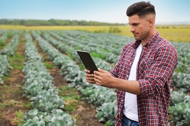 Photo of Man with tablet in field. Agriculture technology