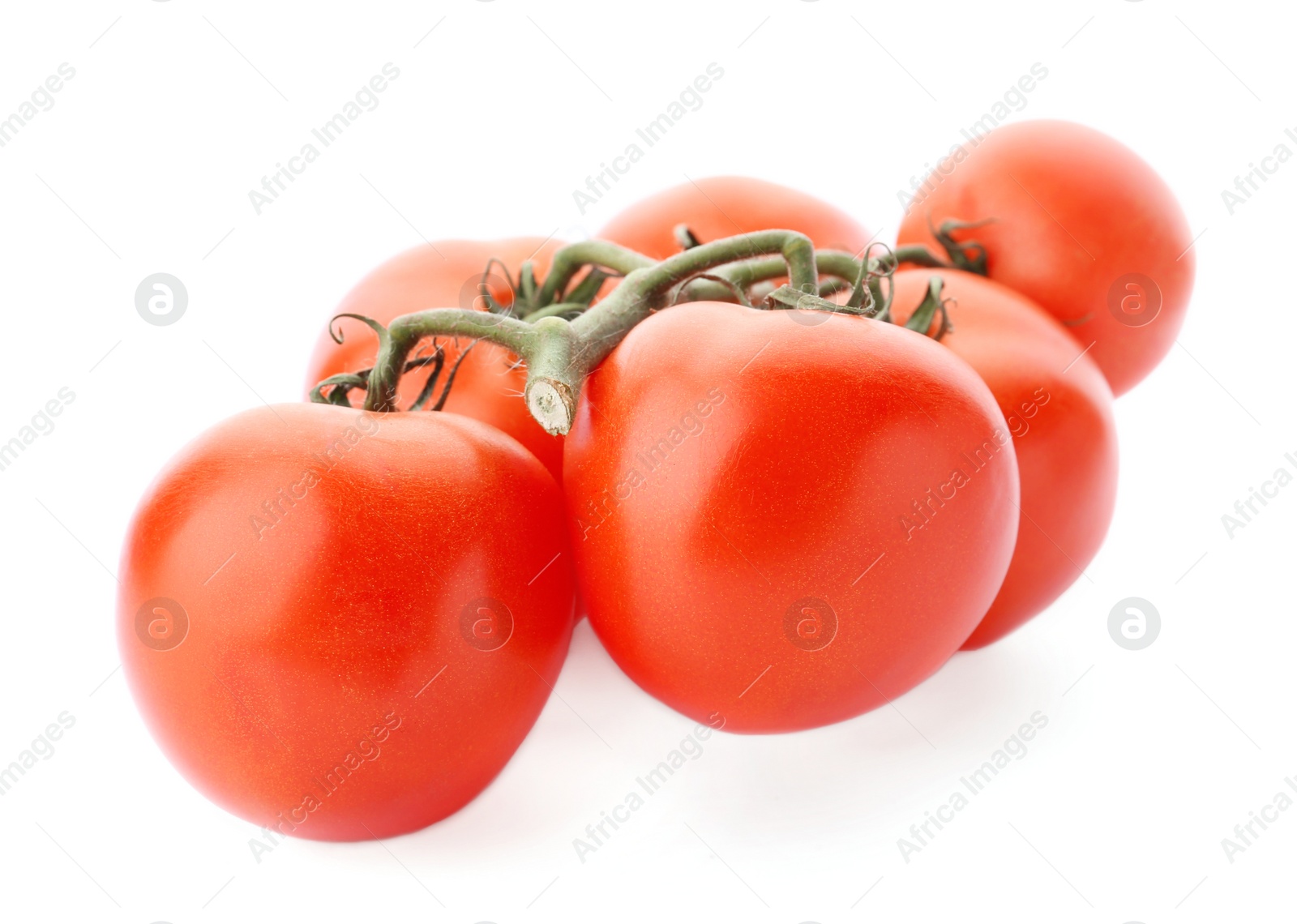 Photo of Branch of ripe red tomatoes on white background