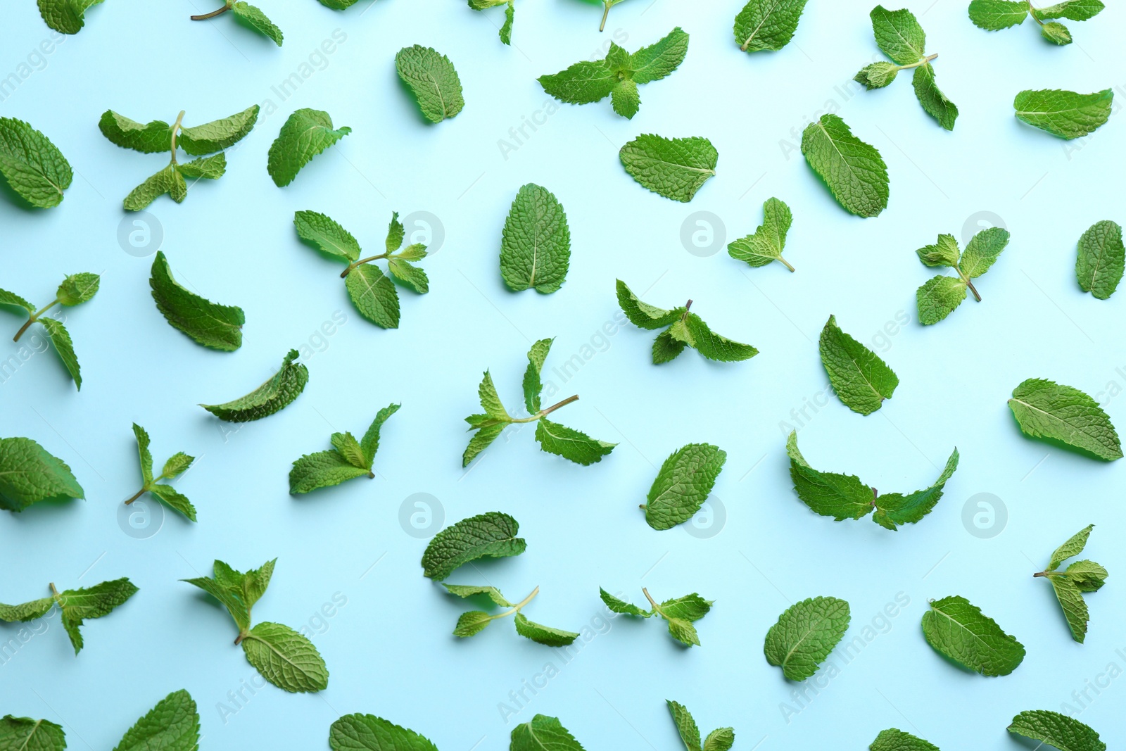 Photo of Fresh mint leaves on light blue background, flat lay