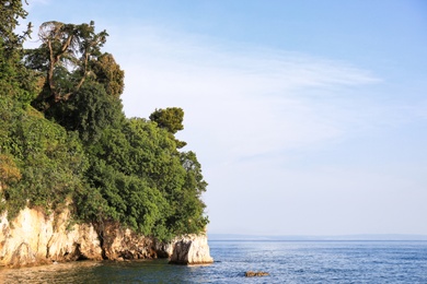 Beautiful view of cliff with green trees near sea