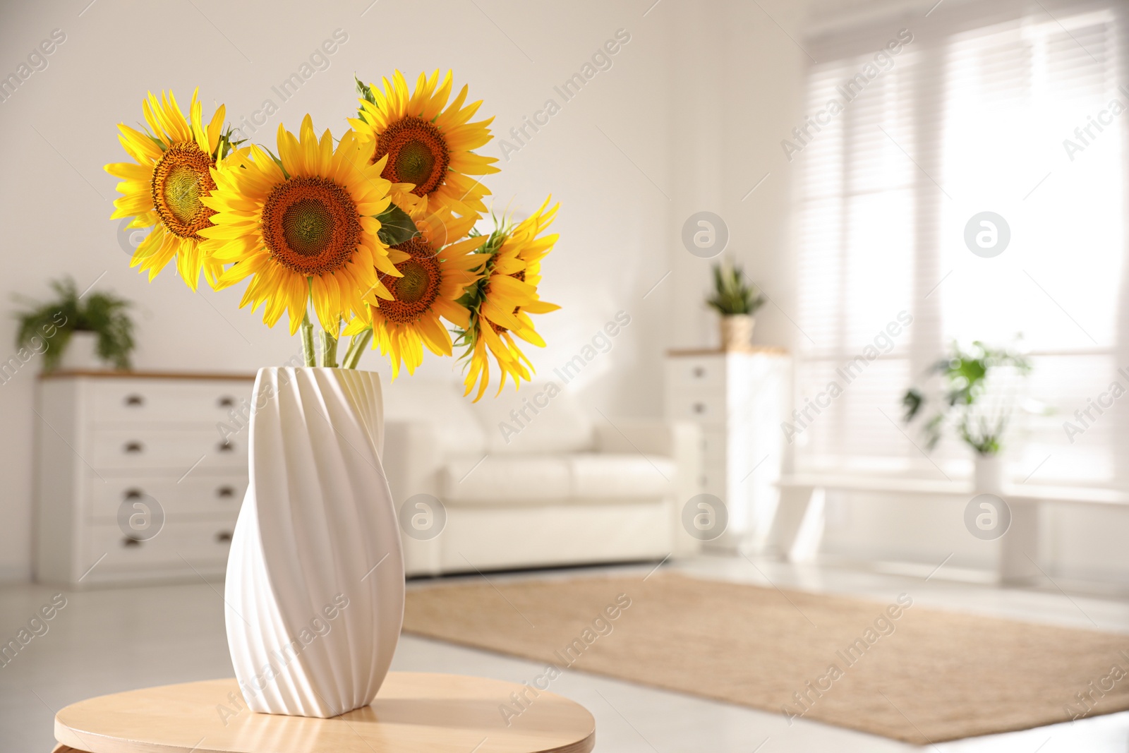 Photo of Beautiful bouquet of sunflowers in vase on table indoors. Space for text