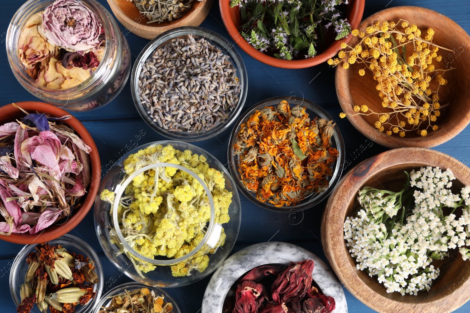 Photo of Many different herbs in bowls on blue wooden table, flat lay