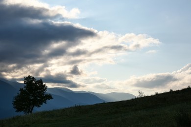 Photo of Beautiful mountains with tree under cloudy sky at sunset. Picturesque landscape