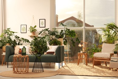 Stylish room interior with different houseplants and furniture near window