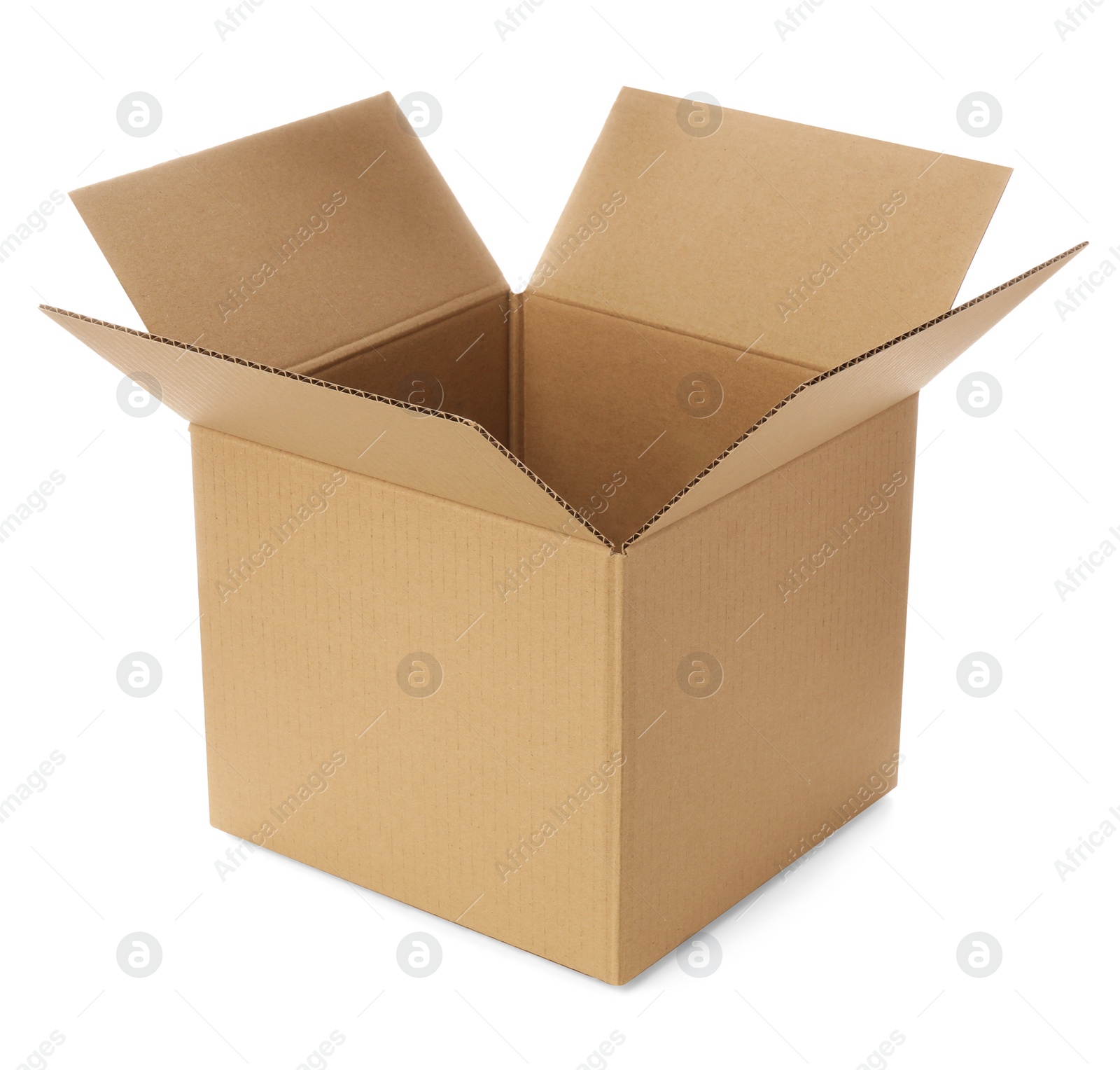 Photo of One open cardboard box on white background