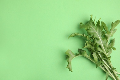 Fresh arugula on green background, flat lay. Space for text