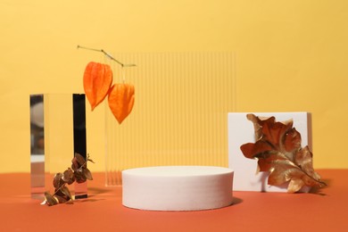 Autumn presentation for product. Geometric figures, golden leaves and physalises on color background