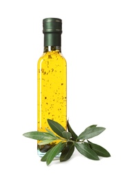 Photo of Glass bottle of oil and olive leaves on white background