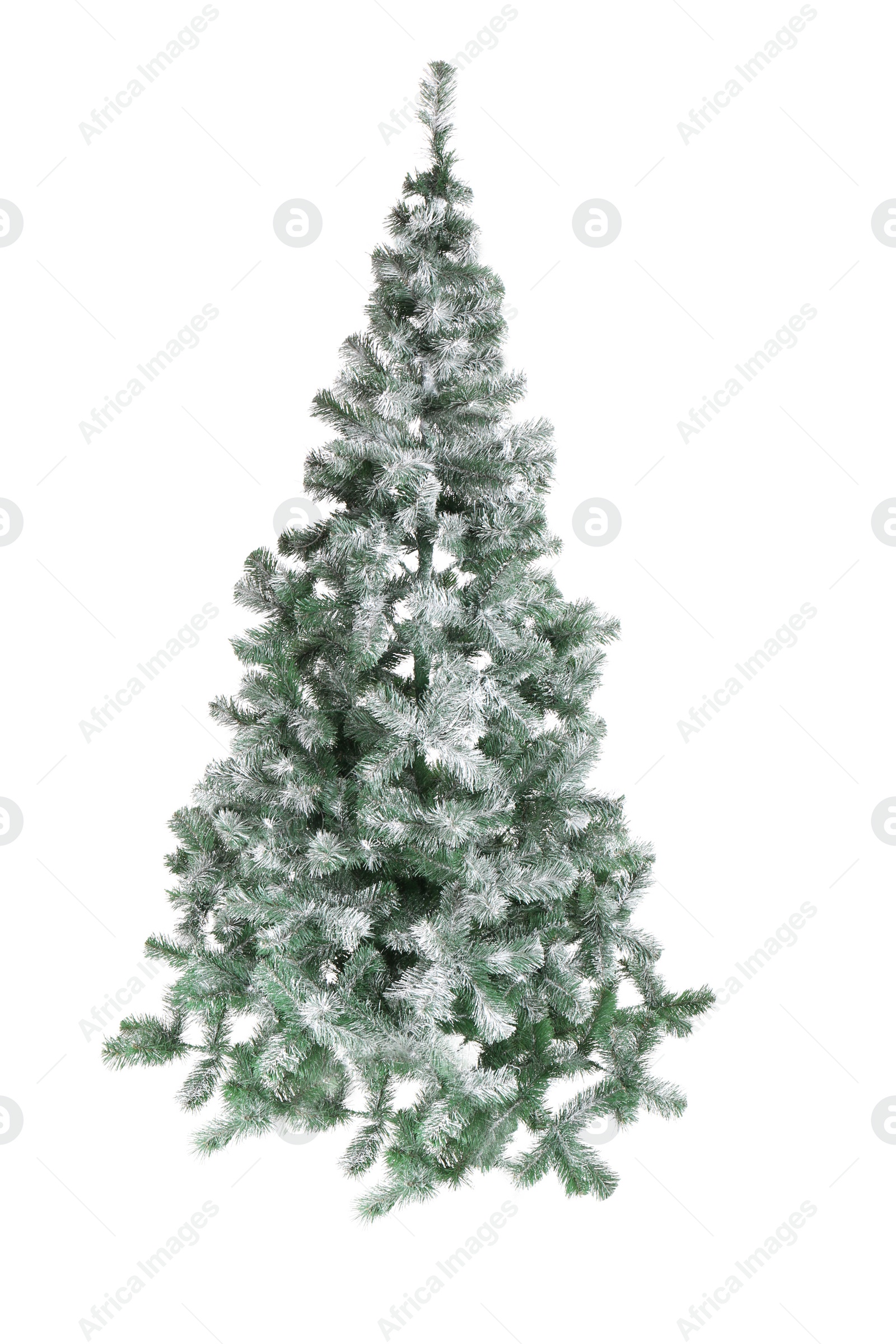 Photo of Beautiful Christmas tree on white background. Celebration time