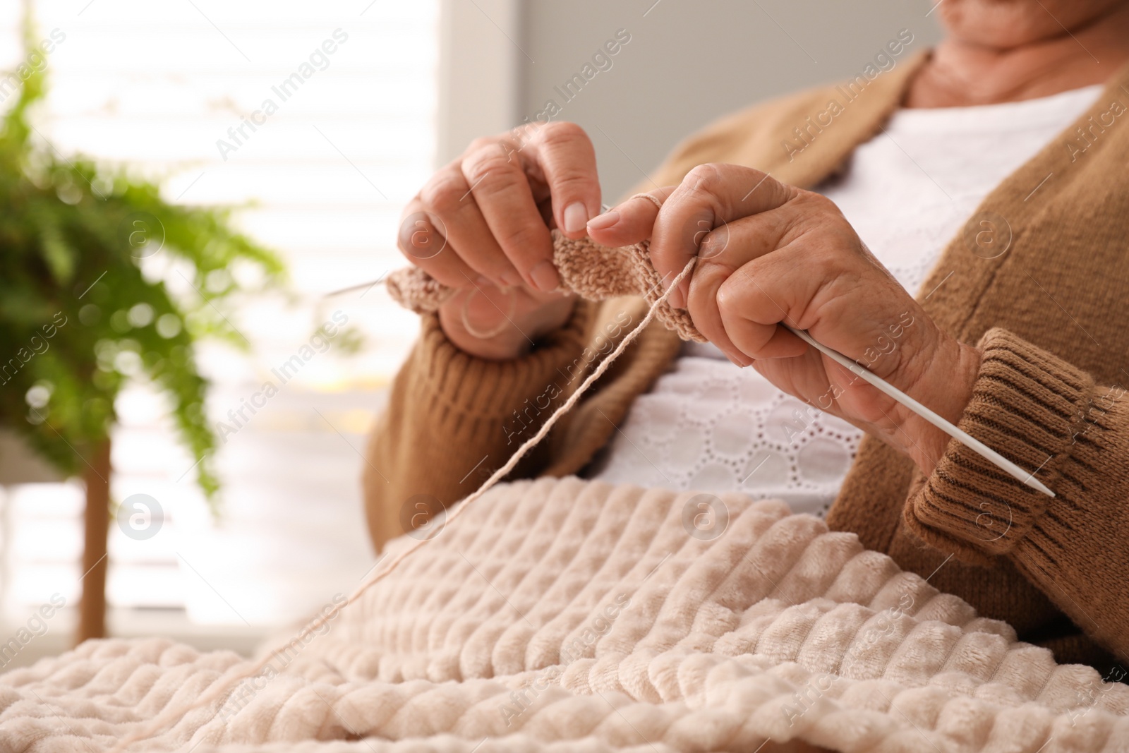 Photo of Elderly woman knitting at home, closeup. Creative hobby