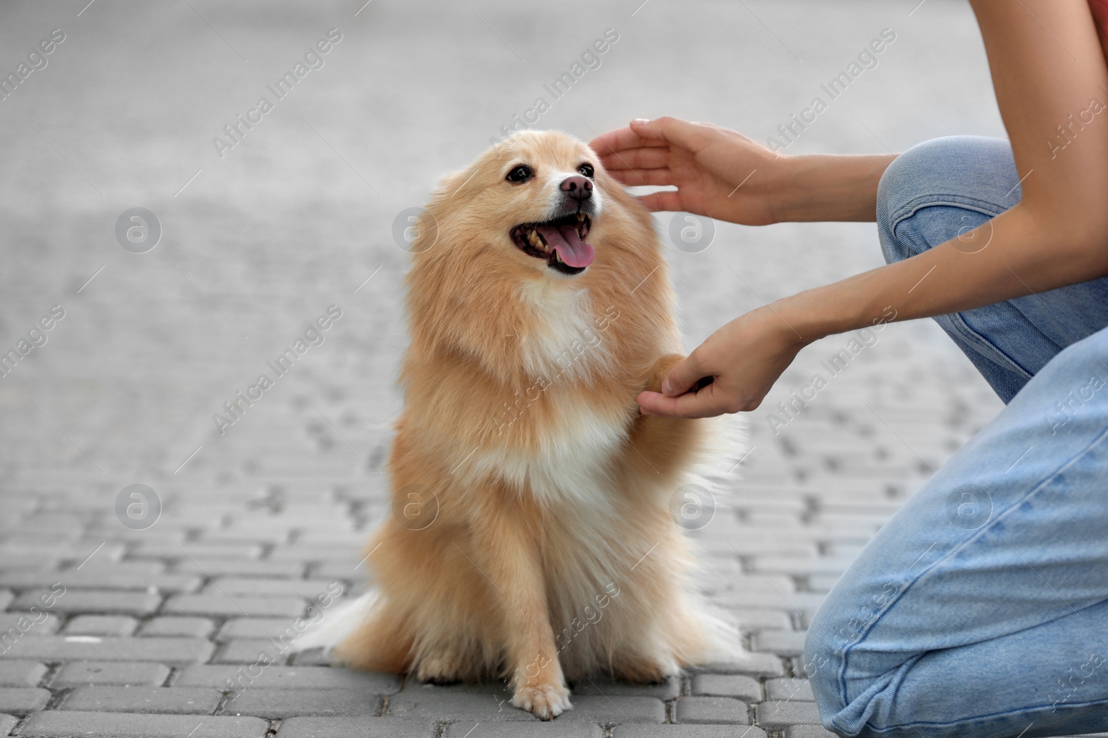 Photo of Young woman with her cute dog on city street, closeup