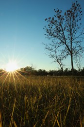 Photo of Picturesque view of beautiful countryside at sunset