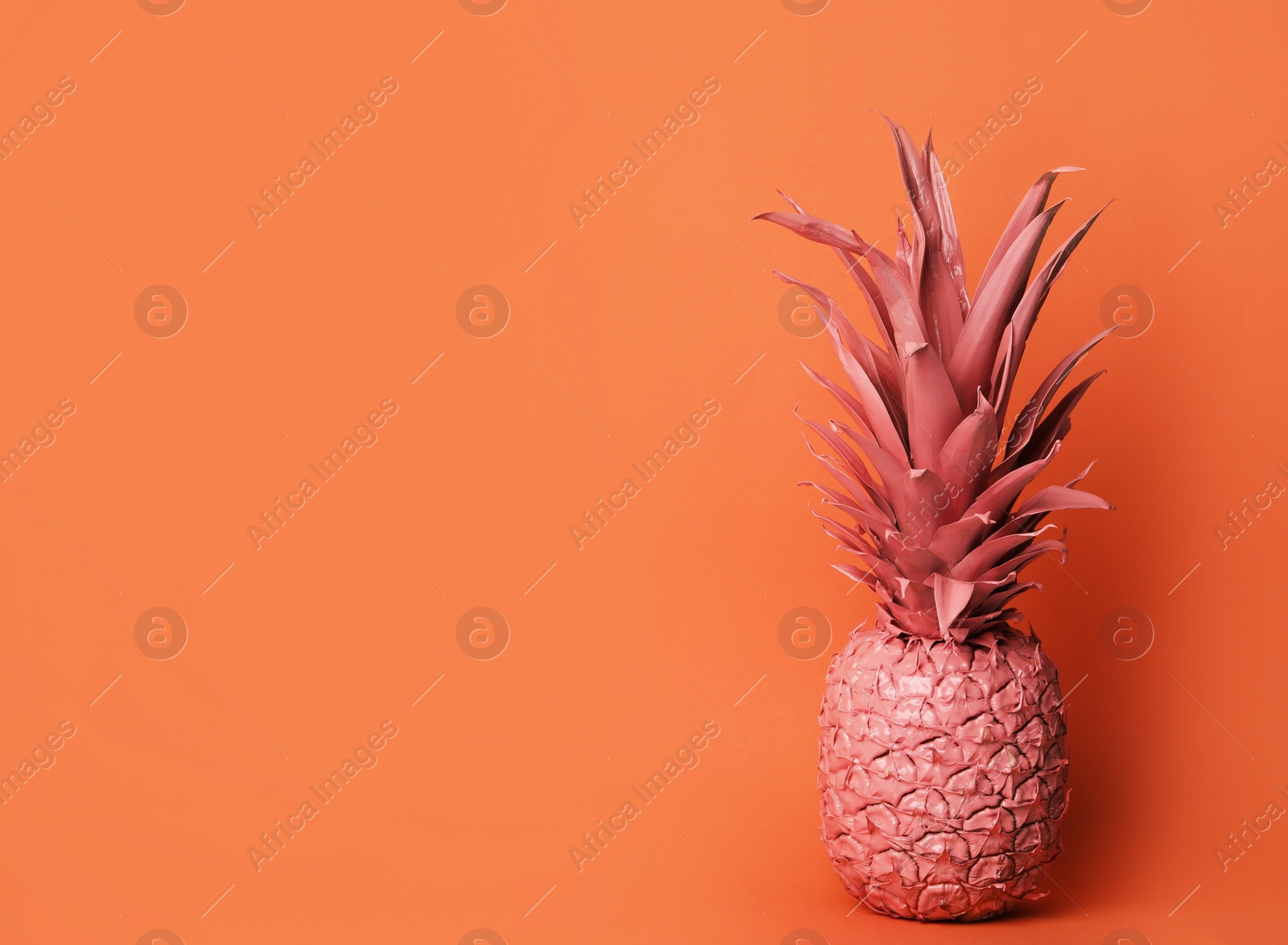 Photo of Coral painted pineapple on orange background. Space for text