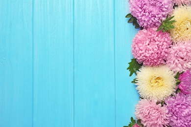 Photo of Beautiful aster flowers and space for text on wooden background, flat lay