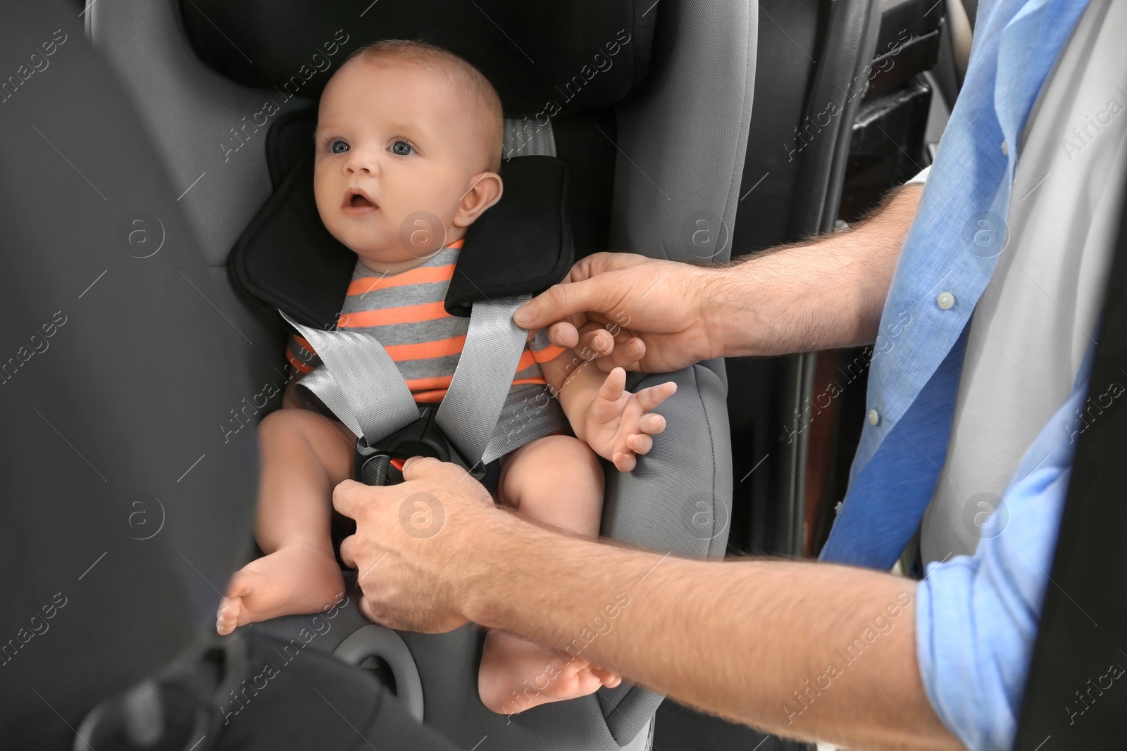 Photo of Father fastening baby to child safety seat inside of car