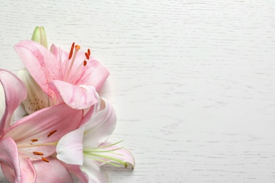 Photo of Composition with beautiful blooming lily flowers on light background